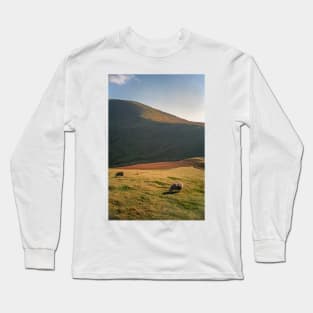 Sheep Grazing on the Mountain Long Sleeve T-Shirt